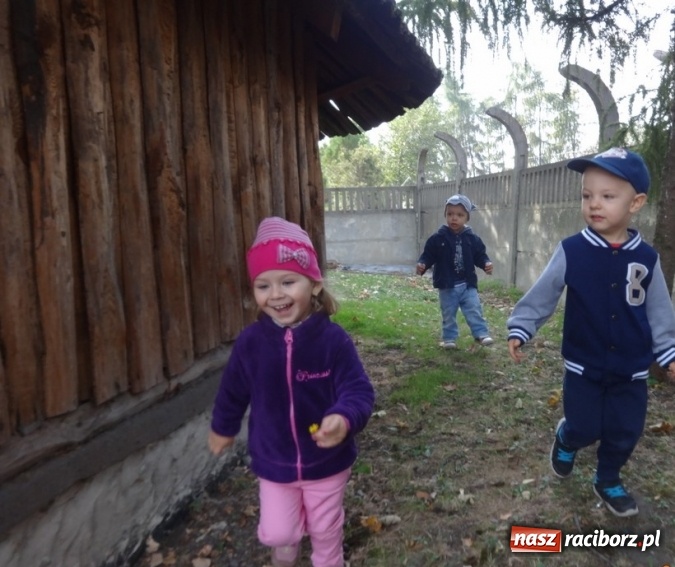Zdjęcie w galerii na portalu naszraciborz.pl: Fiku-miku pożegnało słoneczne dni  wiadomości z regionu