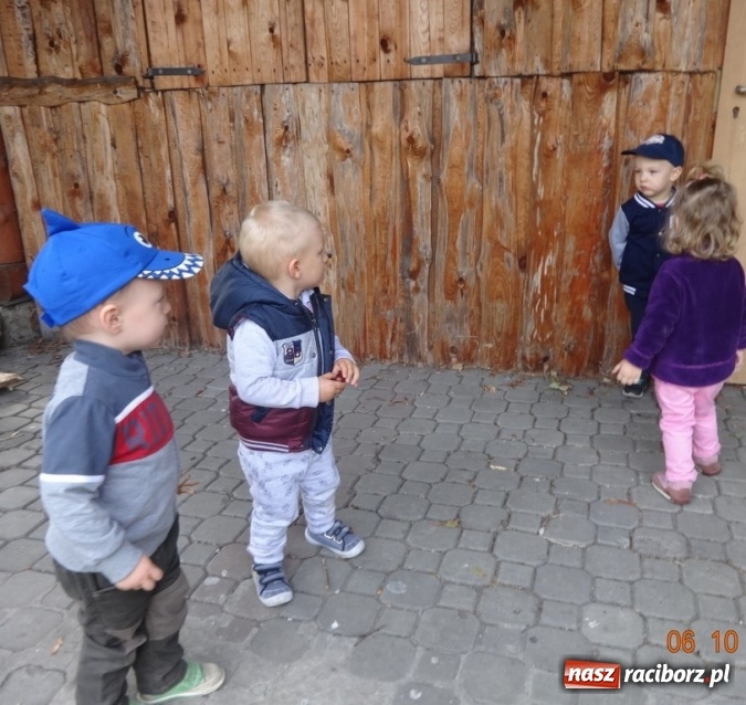 Zdjęcie w galerii na portalu naszraciborz.pl: Fiku-miku pożegnało słoneczne dni  wiadomości z regionu