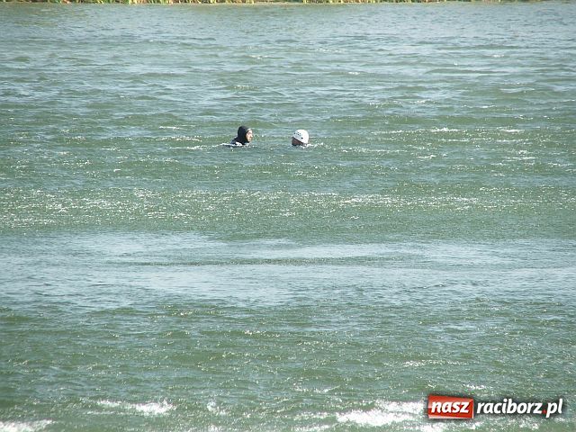 Zdjęcie w galerii na portalu naszraciborz.pl: Akcja WODNIK w helikopterze wiadomości z regionu