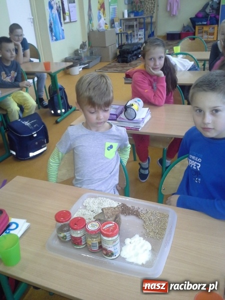 Zdjęcie w galerii na portalu naszraciborz.pl: Pracowity tydzień uczniów kuźniańskiej szkoły  wiadomości z regionu