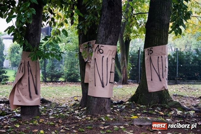 Zdjęcie w galerii na portalu naszraciborz.pl: NIE dla wycinki drzew przy Warszawskiej-Wczasowej wiadomości z regionu
