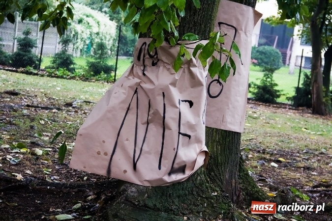 Zdjęcie w galerii na portalu naszraciborz.pl: NIE dla wycinki drzew przy Warszawskiej-Wczasowej wiadomości z regionu
