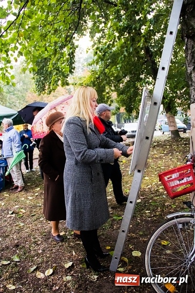 Zdjęcie w galerii na portalu naszraciborz.pl: NIE dla wycinki drzew przy Warszawskiej-Wczasowej wiadomości z regionu