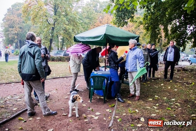 Zdjęcie w galerii na portalu naszraciborz.pl: NIE dla wycinki drzew przy Warszawskiej-Wczasowej wiadomości z regionu