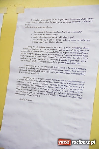 Zdjęcie w galerii na portalu naszraciborz.pl: NIE dla wycinki drzew przy Warszawskiej-Wczasowej wiadomości z regionu