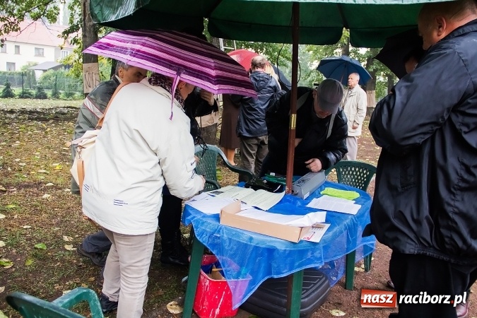 Zdjęcie w galerii na portalu naszraciborz.pl: NIE dla wycinki drzew przy Warszawskiej-Wczasowej wiadomości z regionu