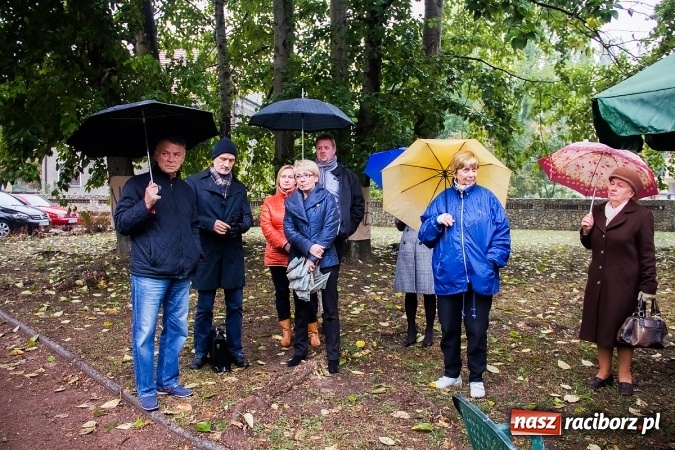 Zdjęcie w galerii na portalu naszraciborz.pl: NIE dla wycinki drzew przy Warszawskiej-Wczasowej wiadomości z regionu