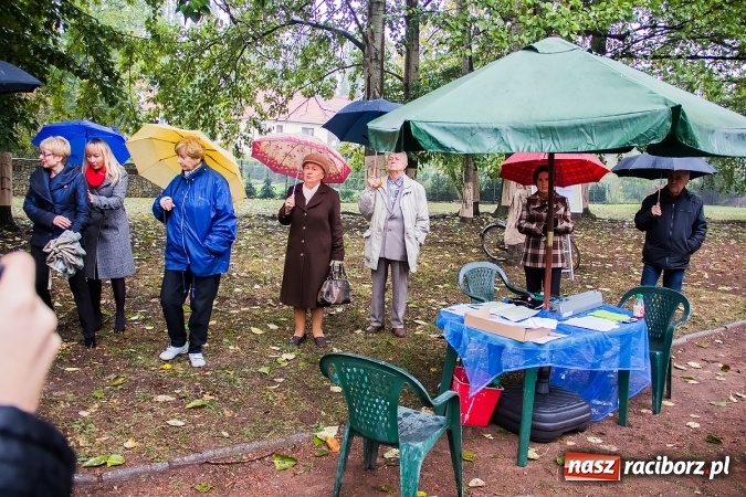 Zdjęcie w galerii na portalu naszraciborz.pl: NIE dla wycinki drzew przy Warszawskiej-Wczasowej wiadomości z regionu