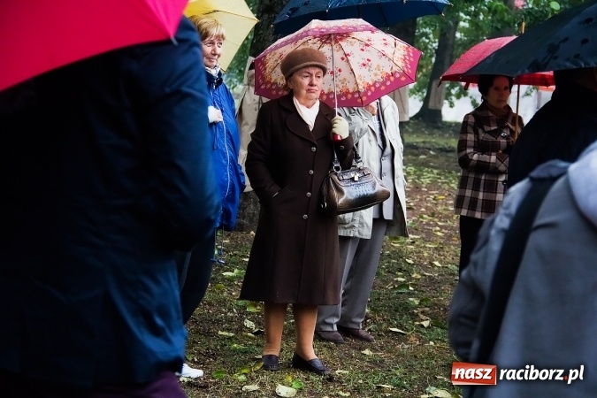Zdjęcie w galerii na portalu naszraciborz.pl: NIE dla wycinki drzew przy Warszawskiej-Wczasowej wiadomości z regionu