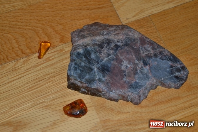 Zdjęcie w galerii na portalu naszraciborz.pl: VIII Raciborskie Dni Nauki i Techniki - dziś na zamku, jutro w Arenie Rafako  wiadomości z regionu