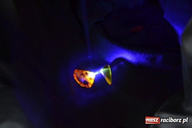 Zdjęcie w galerii na portalu naszraciborz.pl: VIII Raciborskie Dni Nauki i Techniki - dziś na zamku, jutro w Arenie Rafako  wiadomości z regionu