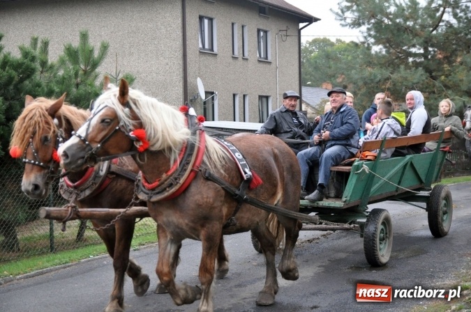 Zdjęcie w galerii na portalu naszraciborz.pl: Hubertus w gminie z widokami – święto jeźdźców w Kornowacu wiadomości z regionu