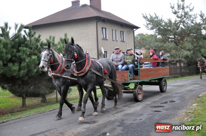 Zdjęcie w galerii na portalu naszraciborz.pl: Hubertus w gminie z widokami – święto jeźdźców w Kornowacu wiadomości z regionu