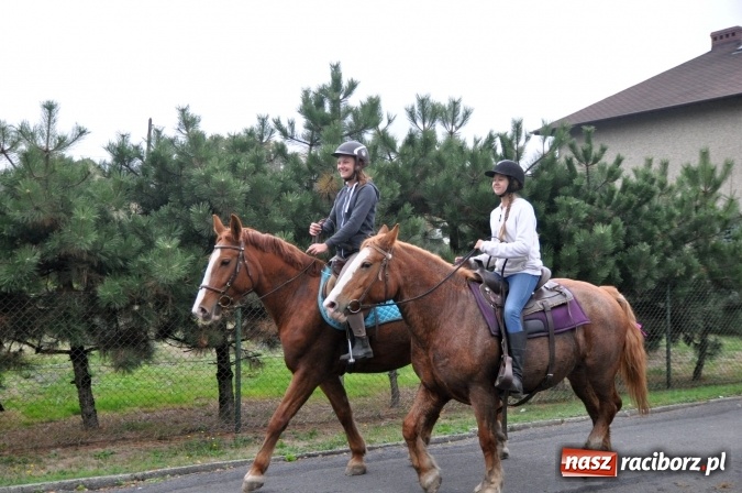 Zdjęcie w galerii na portalu naszraciborz.pl: Hubertus w gminie z widokami – święto jeźdźców w Kornowacu wiadomości z regionu