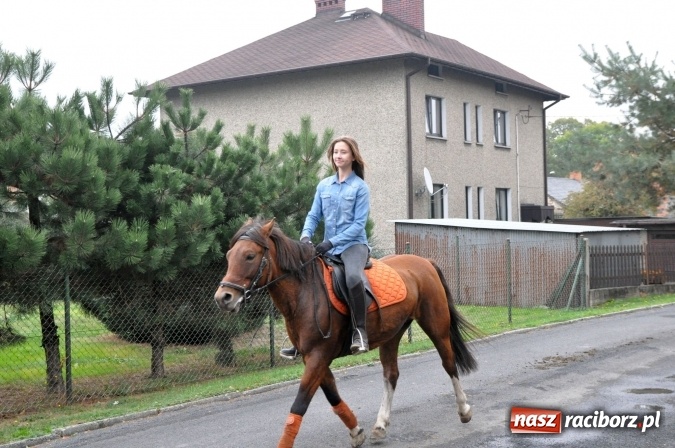 Zdjęcie w galerii na portalu naszraciborz.pl: Hubertus w gminie z widokami – święto jeźdźców w Kornowacu wiadomości z regionu