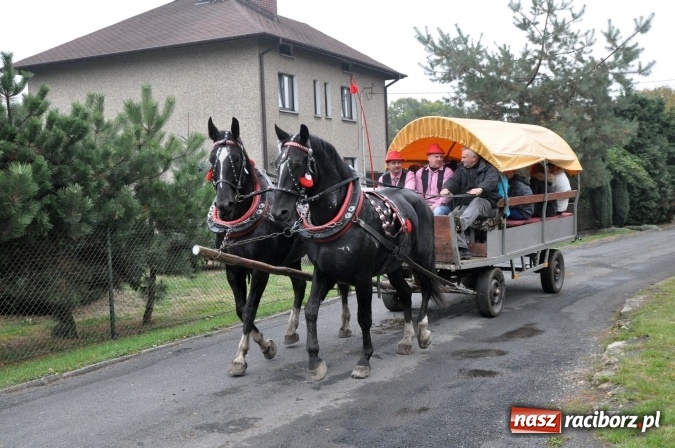 Zdjęcie w galerii na portalu naszraciborz.pl: Hubertus w gminie z widokami – święto jeźdźców w Kornowacu wiadomości z regionu