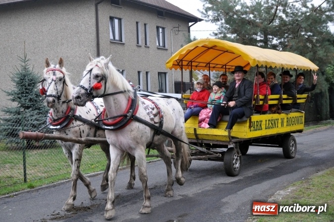 Zdjęcie w galerii na portalu naszraciborz.pl: Hubertus w gminie z widokami – święto jeźdźców w Kornowacu wiadomości z regionu