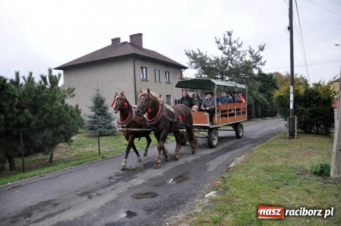 Zdjęcie w galerii na portalu naszraciborz.pl: Hubertus w gminie z widokami – święto jeźdźców w Kornowacu wiadomości z regionu