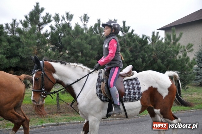 Zdjęcie w galerii na portalu naszraciborz.pl: Hubertus w gminie z widokami – święto jeźdźców w Kornowacu wiadomości z regionu