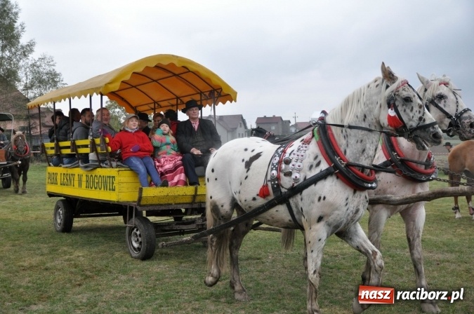 Zdjęcie w galerii na portalu naszraciborz.pl: Hubertus w gminie z widokami – święto jeźdźców w Kornowacu wiadomości z regionu