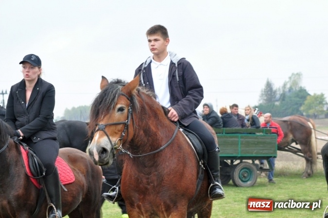 Zdjęcie w galerii na portalu naszraciborz.pl: Hubertus w gminie z widokami – święto jeźdźców w Kornowacu wiadomości z regionu