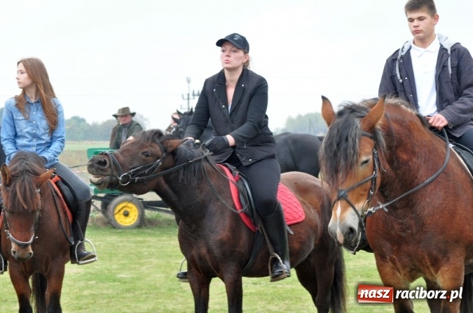 Zdjęcie w galerii na portalu naszraciborz.pl: Hubertus w gminie z widokami – święto jeźdźców w Kornowacu wiadomości z regionu