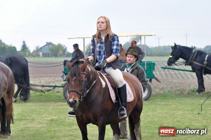 Zdjęcie w galerii na portalu naszraciborz.pl: Hubertus w gminie z widokami – święto jeźdźców w Kornowacu wiadomości z regionu
