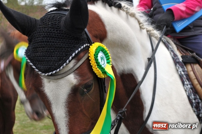 Zdjęcie w galerii na portalu naszraciborz.pl: Hubertus w gminie z widokami – święto jeźdźców w Kornowacu wiadomości z regionu
