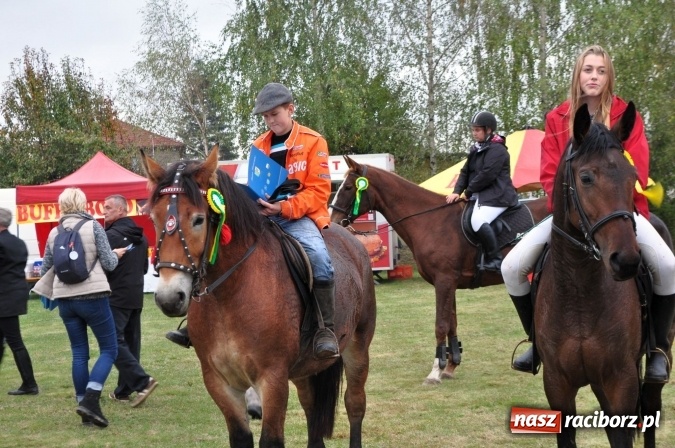 Zdjęcie w galerii na portalu naszraciborz.pl: Hubertus w gminie z widokami – święto jeźdźców w Kornowacu wiadomości z regionu