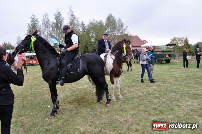 Zdjęcie w galerii na portalu naszraciborz.pl: Hubertus w gminie z widokami – święto jeźdźców w Kornowacu wiadomości z regionu