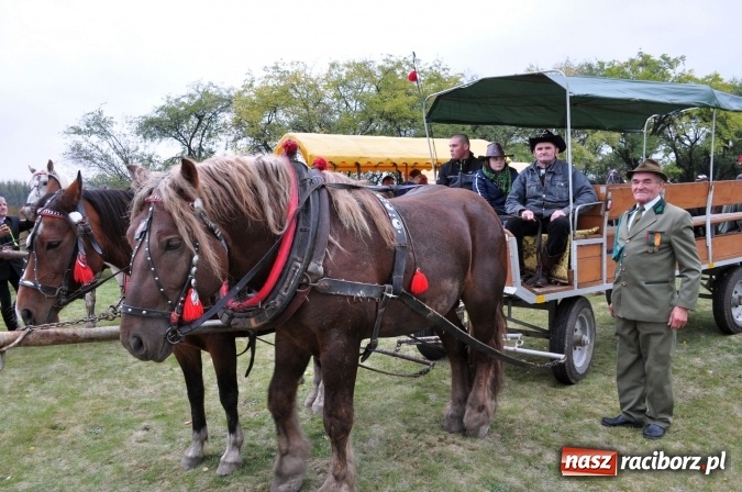 Zdjęcie w galerii na portalu naszraciborz.pl: Hubertus w gminie z widokami – święto jeźdźców w Kornowacu wiadomości z regionu