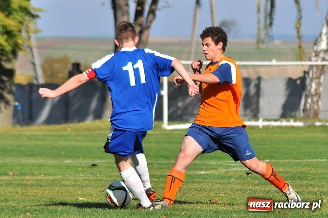 Zdjęcie w galerii na portalu naszraciborz.pl: Wilczek pogryzł Krzanowice. Zwycięstwo Gamowa wiadomości z regionu