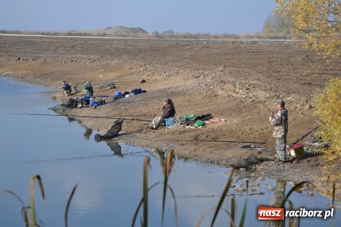 Zdjęcie w galerii na portalu naszraciborz.pl: Wędkarze zakończyli sezon 2015 wiadomości z regionu