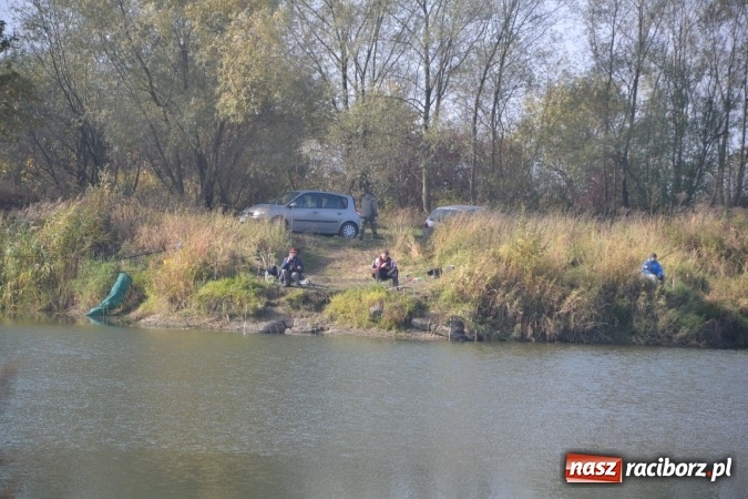 Zdjęcie w galerii na portalu naszraciborz.pl: Wędkarze zakończyli sezon 2015 wiadomości z regionu