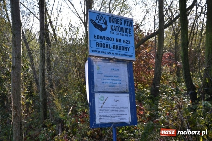 Zdjęcie w galerii na portalu naszraciborz.pl: Wędkarze zakończyli sezon 2015 wiadomości z regionu