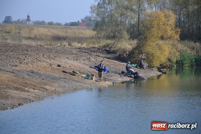 Zdjęcie w galerii na portalu naszraciborz.pl: Wędkarze zakończyli sezon 2015 wiadomości z regionu