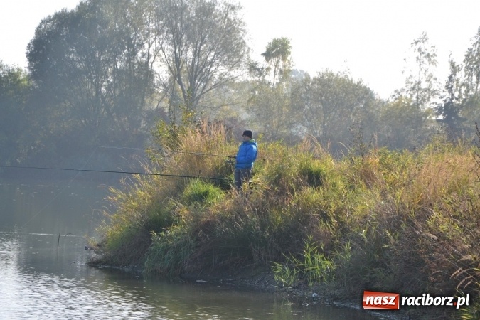 Zdjęcie w galerii na portalu naszraciborz.pl: Wędkarze zakończyli sezon 2015 wiadomości z regionu