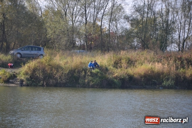 Zdjęcie w galerii na portalu naszraciborz.pl: Wędkarze zakończyli sezon 2015 wiadomości z regionu