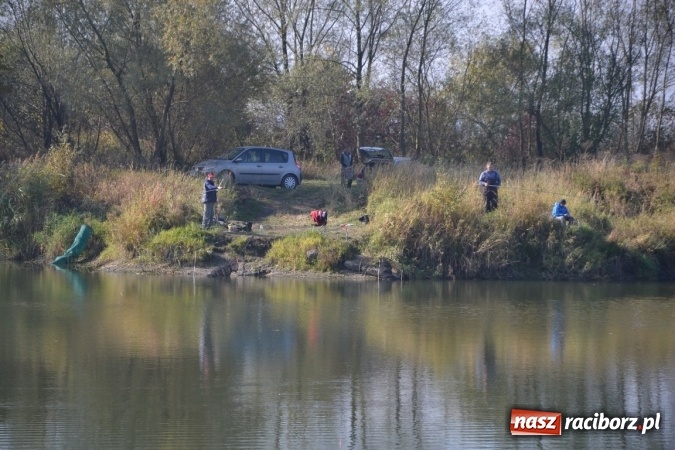 Zdjęcie w galerii na portalu naszraciborz.pl: Wędkarze zakończyli sezon 2015 wiadomości z regionu