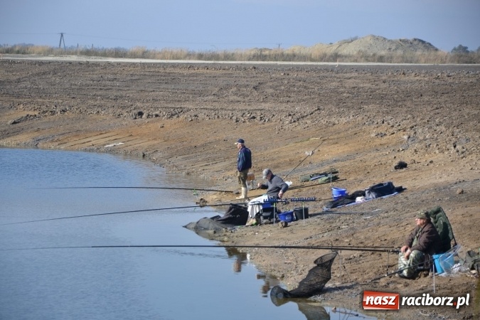 Zdjęcie w galerii na portalu naszraciborz.pl: Wędkarze zakończyli sezon 2015 wiadomości z regionu