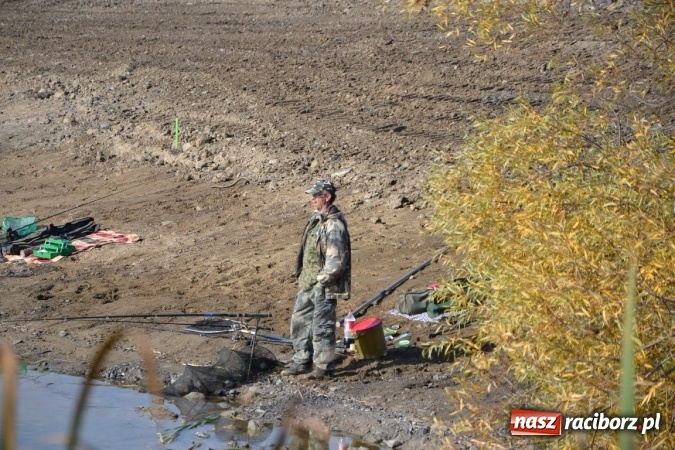 Zdjęcie w galerii na portalu naszraciborz.pl: Wędkarze zakończyli sezon 2015 wiadomości z regionu