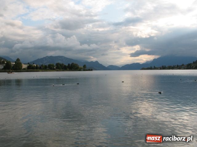 Zdjęcie w galerii na portalu naszraciborz.pl: Śladami Wilhelma Tella wiadomości z regionu