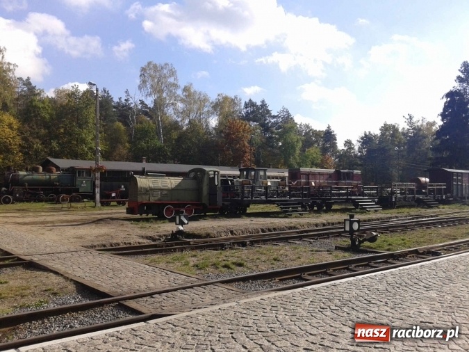Zdjęcie w galerii na portalu naszraciborz.pl: 2,330 kg to wynik najlepszego grzybiarza ziemi raciborskiej wiadomości z regionu