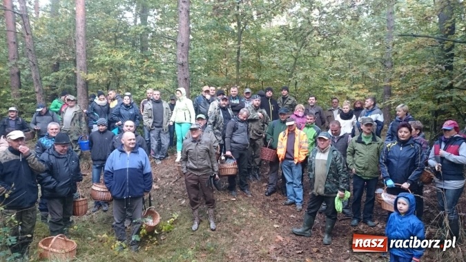 Zdjęcie w galerii na portalu naszraciborz.pl: 2,330 kg to wynik najlepszego grzybiarza ziemi raciborskiej wiadomości z regionu