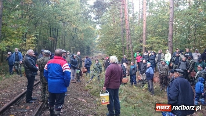 Zdjęcie w galerii na portalu naszraciborz.pl: 2,330 kg to wynik najlepszego grzybiarza ziemi raciborskiej wiadomości z regionu