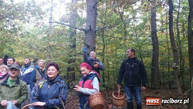 Zdjęcie w galerii na portalu naszraciborz.pl: 2,330 kg to wynik najlepszego grzybiarza ziemi raciborskiej wiadomości z regionu