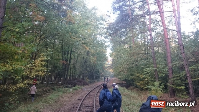 Zdjęcie w galerii na portalu naszraciborz.pl: 2,330 kg to wynik najlepszego grzybiarza ziemi raciborskiej wiadomości z regionu