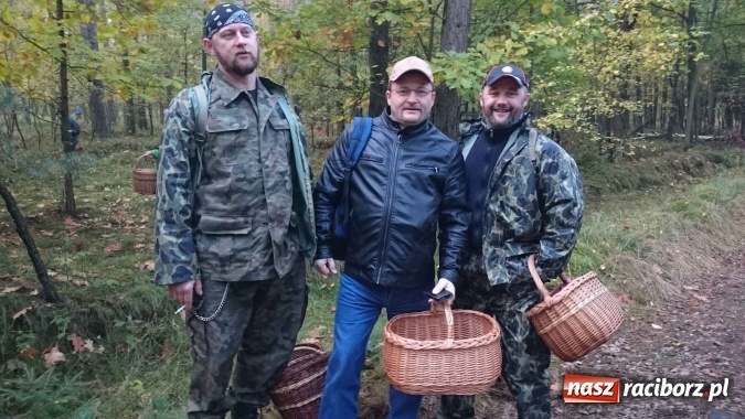 Zdjęcie w galerii na portalu naszraciborz.pl: 2,330 kg to wynik najlepszego grzybiarza ziemi raciborskiej wiadomości z regionu