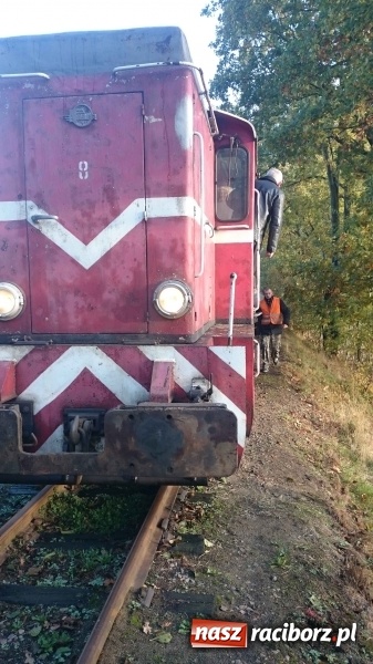 Zdjęcie w galerii na portalu naszraciborz.pl: 2,330 kg to wynik najlepszego grzybiarza ziemi raciborskiej wiadomości z regionu