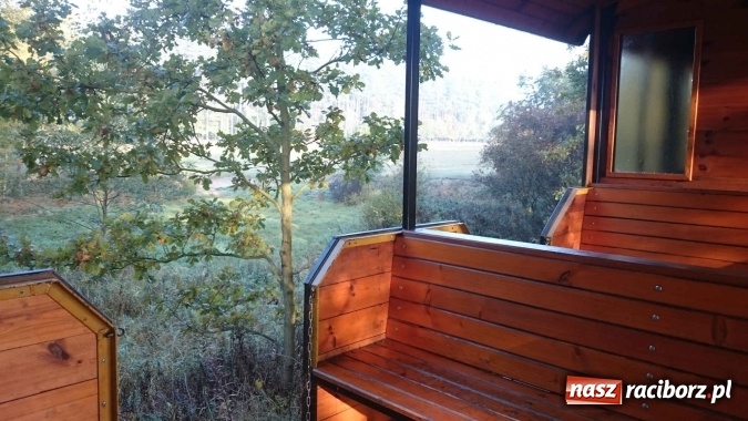 Zdjęcie w galerii na portalu naszraciborz.pl: 2,330 kg to wynik najlepszego grzybiarza ziemi raciborskiej wiadomości z regionu